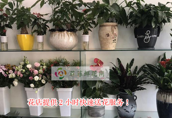 衢州江山市花店提供衢州江山市2小时快速送花服务